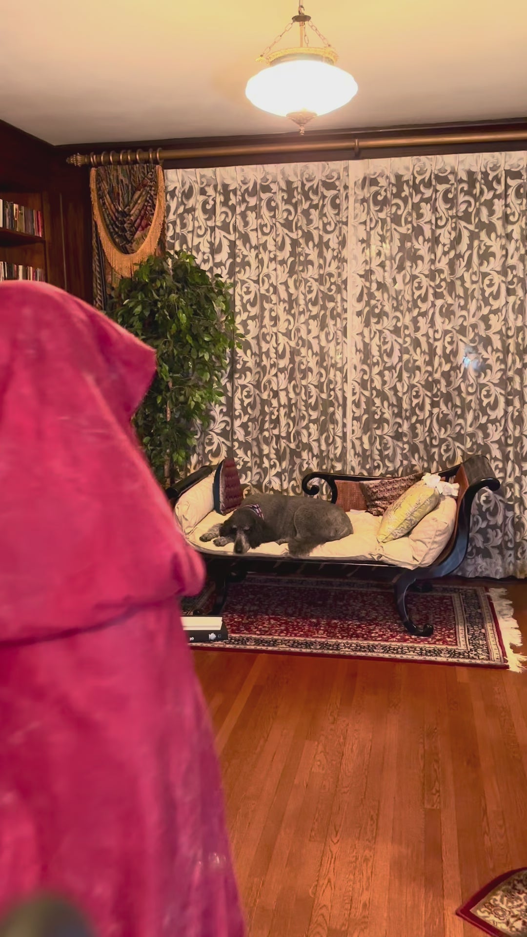 The Wayfarer Cloak RED OR BLACK